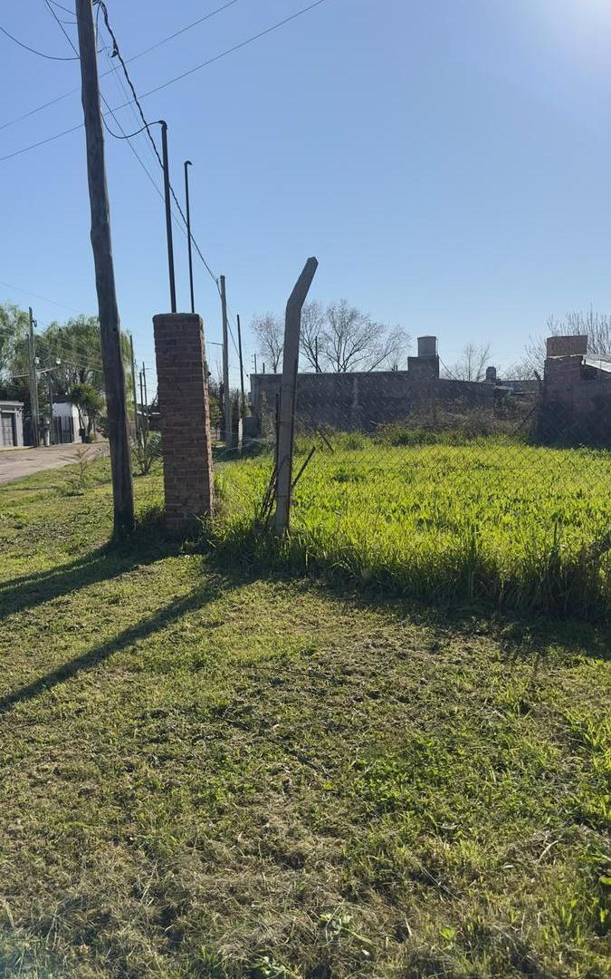 Foto de Terreno en venta - Berisso, imagen 4