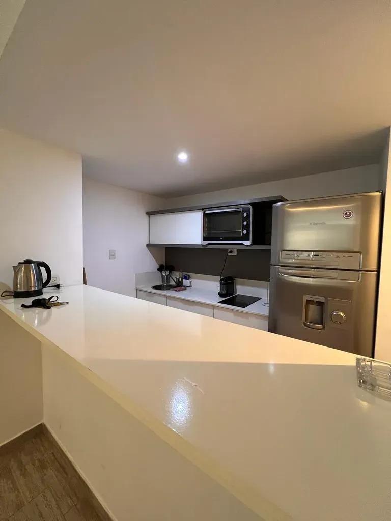 Foto de DEPARTAMENTO MONOAMBIENTE-PUERTO MADERO-ALQUILER TEMPORAL, imagen 5