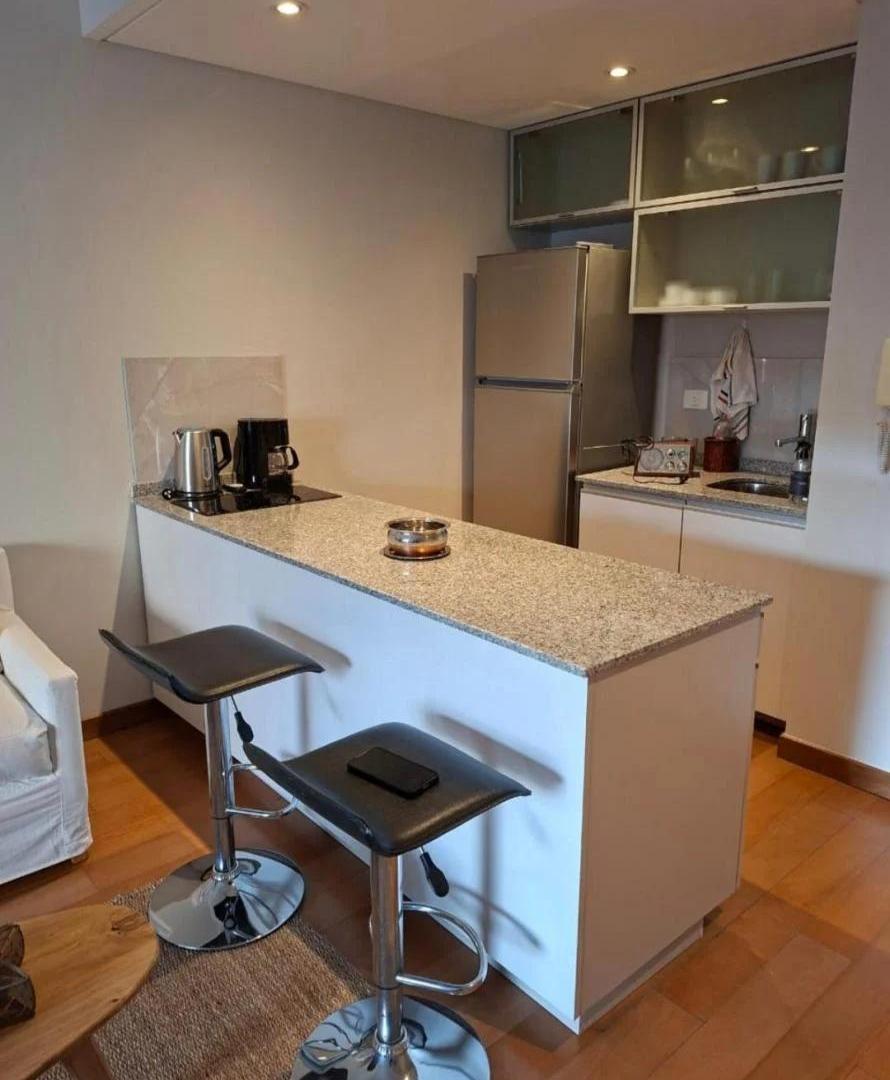 Foto de DEPARTAMENTO MONOAMBEINTE-RECOLETA-ALQUILER TEMPORAL, imagen 2