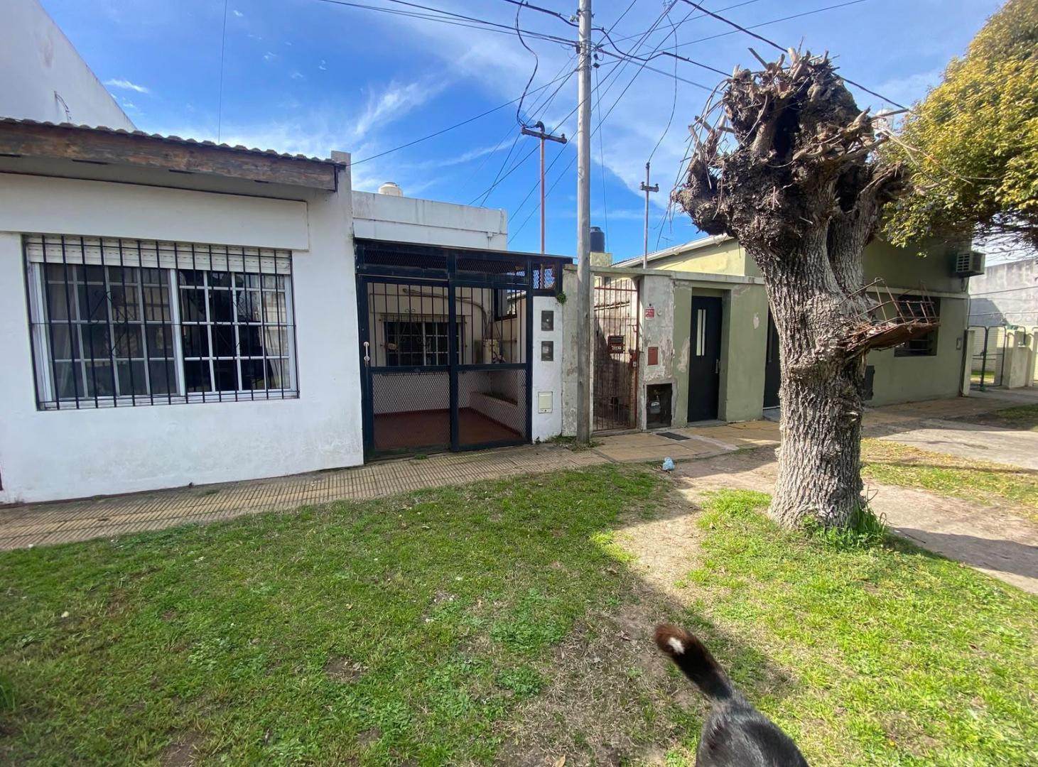 Foto de Terreno en Tolosa, imagen 3