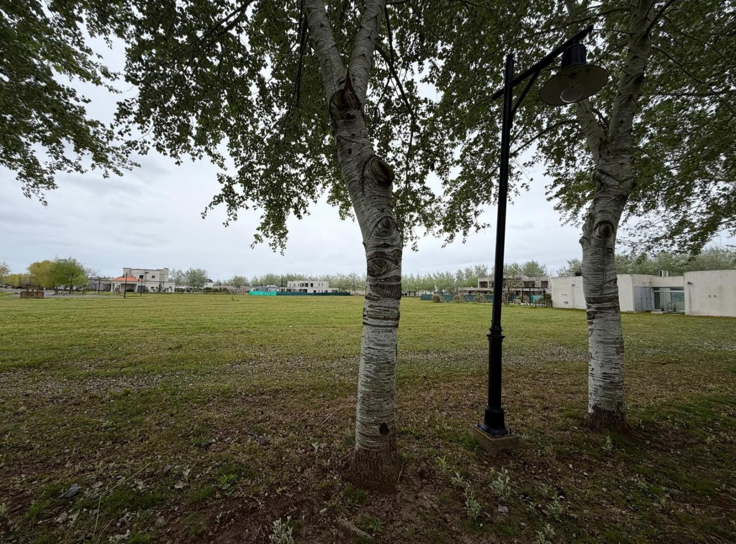 Foto de LOTE en Venta Haras del Sur III, imagen 5