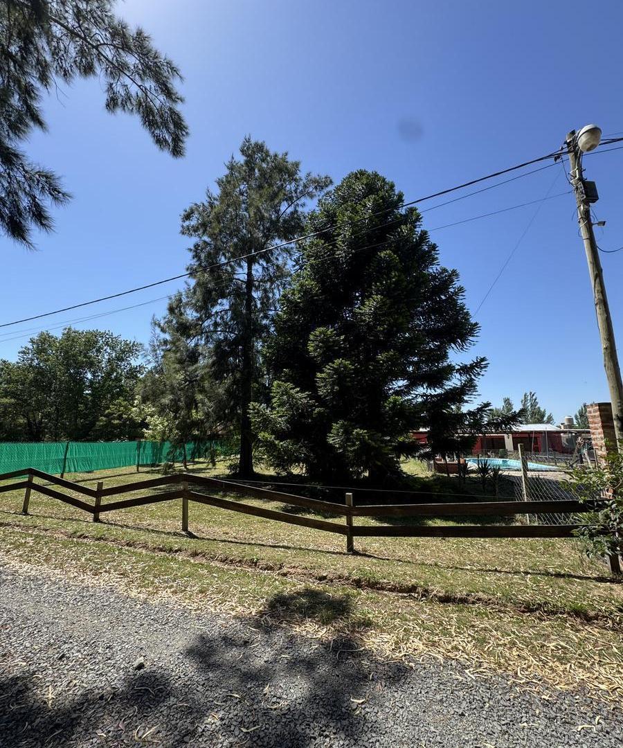 Foto de Terreno en venta Parque Sicardi, imagen 3