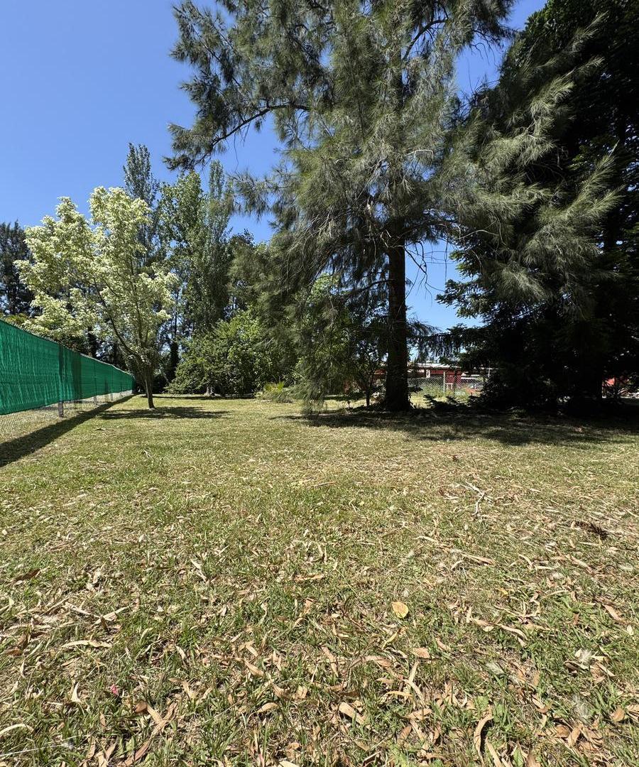 Foto de Terreno en venta Parque Sicardi, imagen 4
