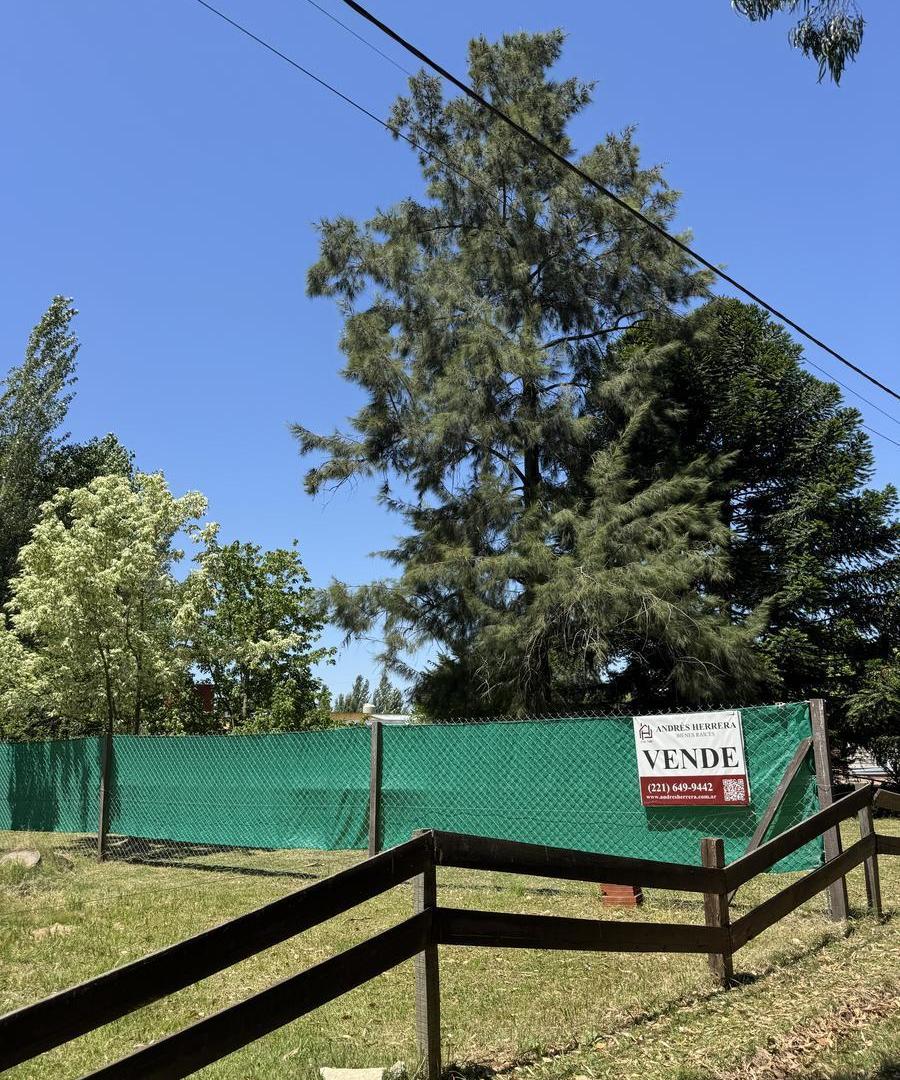 Foto de Terreno en venta Parque Sicardi, imagen 5