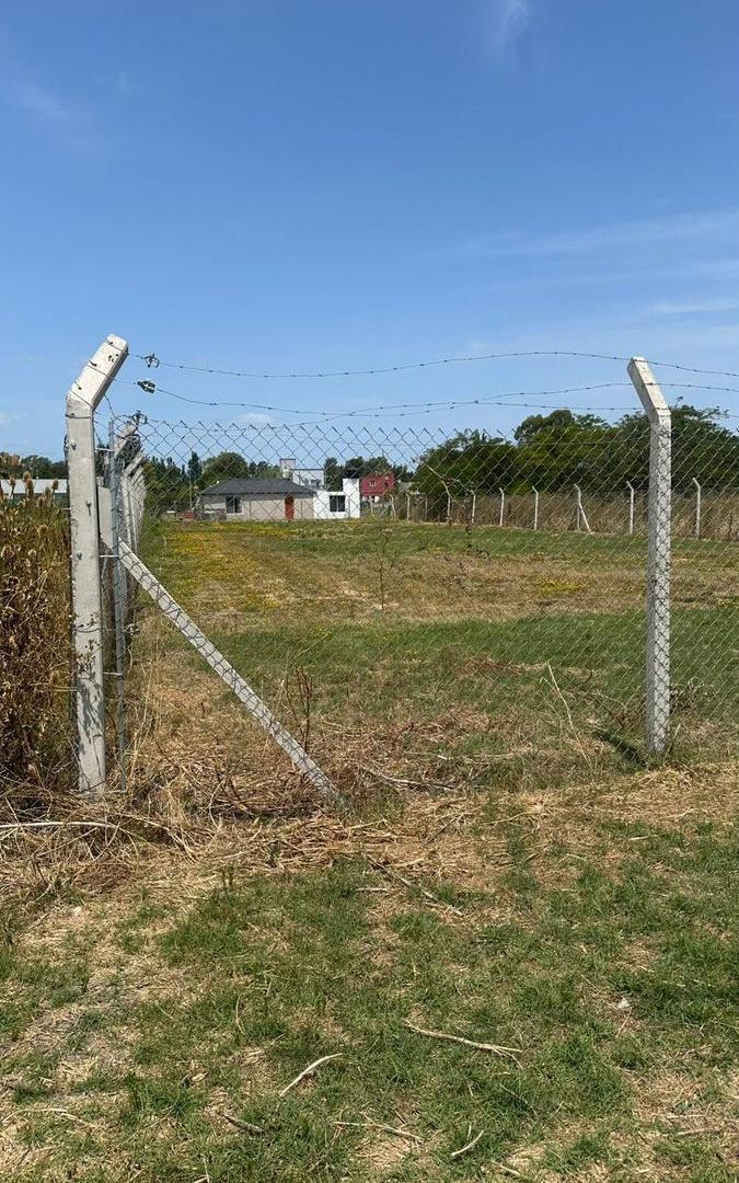Foto de Terreno en venta - Alto Los Talas Berisso, imagen 3