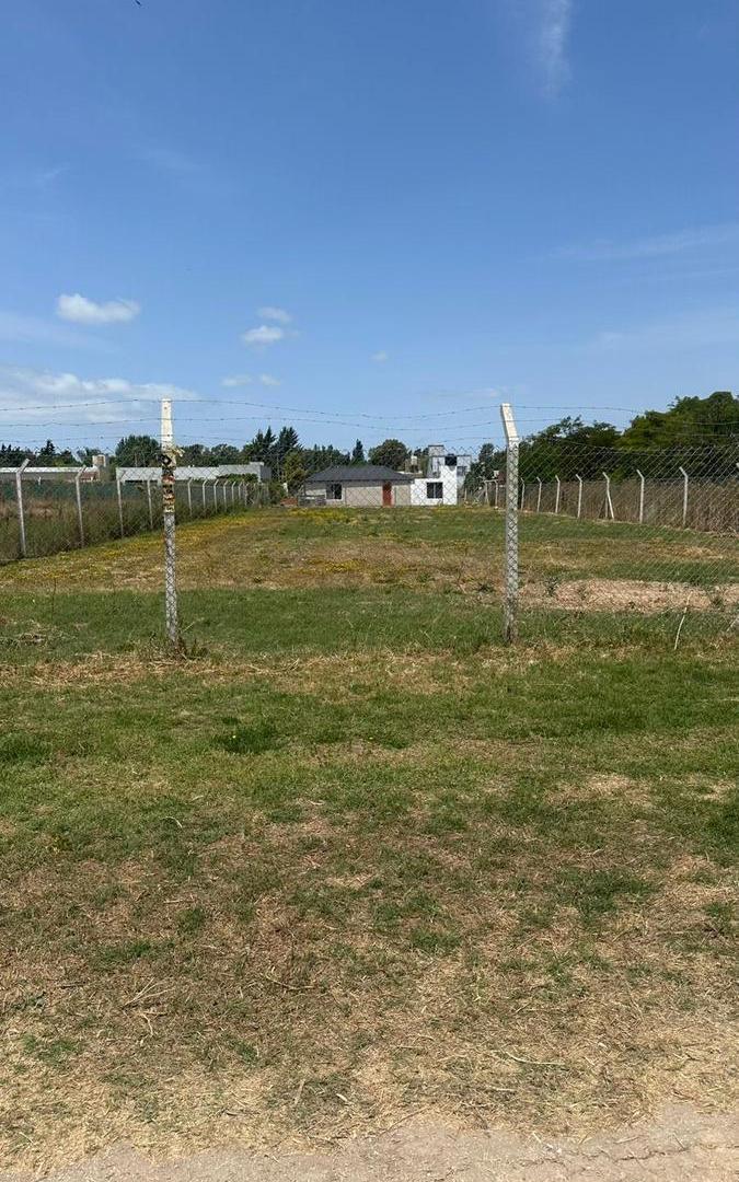 Foto de Terreno en venta - Alto Los Talas Berisso, imagen 2