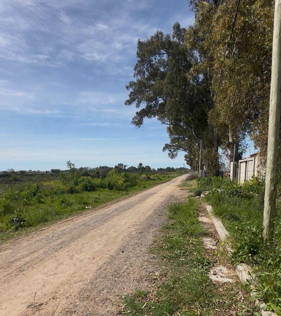 Foto de Terreno en venta - Altos de San Lorenzo, imagen 5