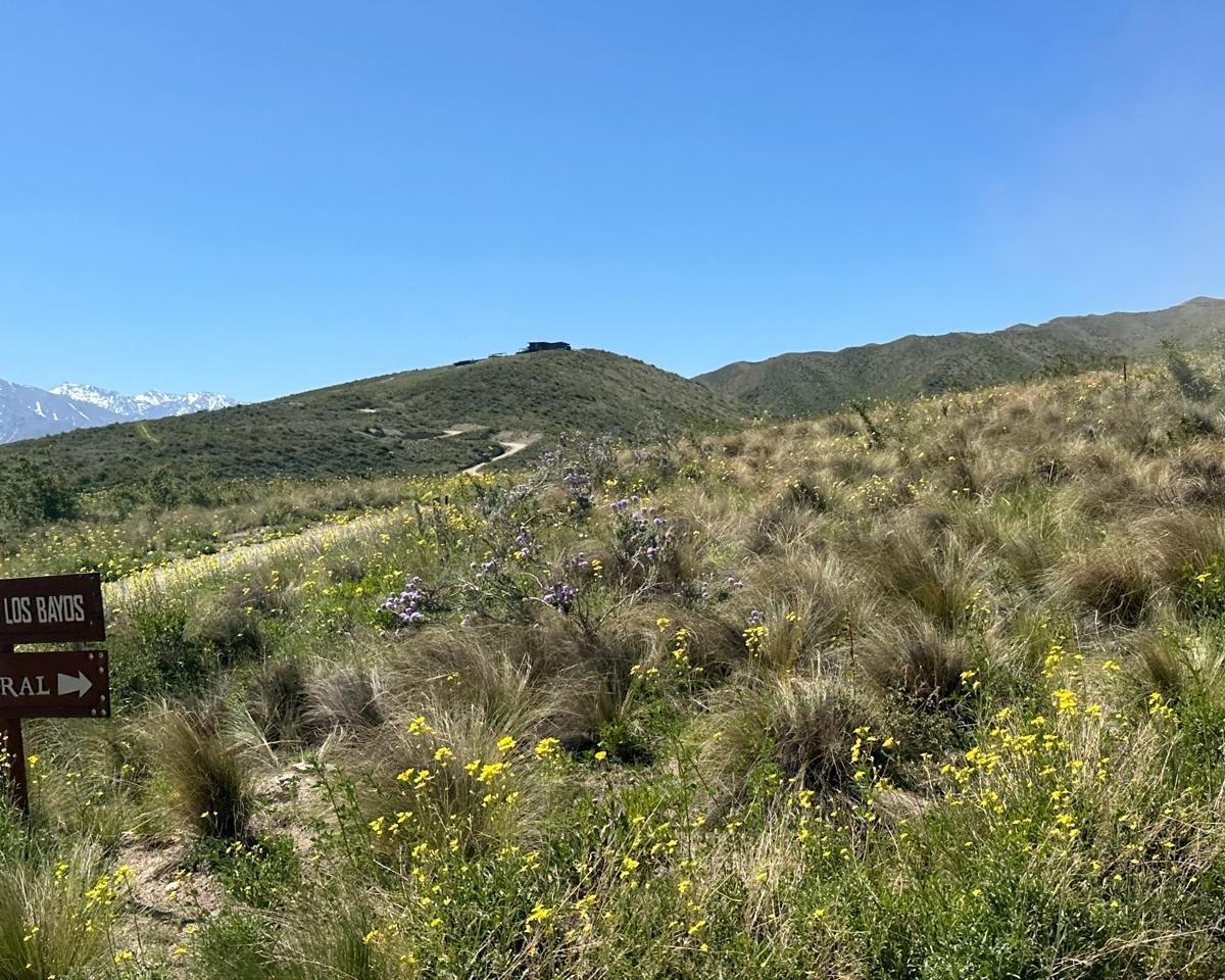 Venta Lote Estancia Agua de Los Bayos - San José, Tupungato 4
