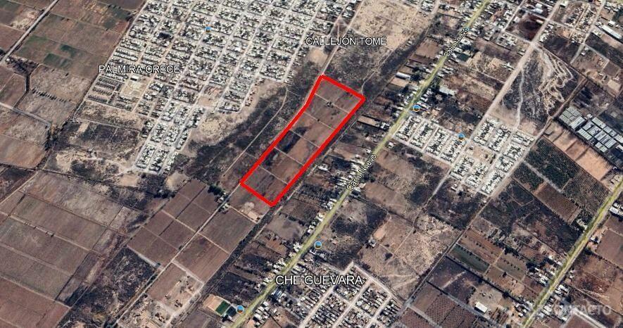 Contacto Propiedades Inmobiliaria Vende Finca de 12 Ha en Palmira 2