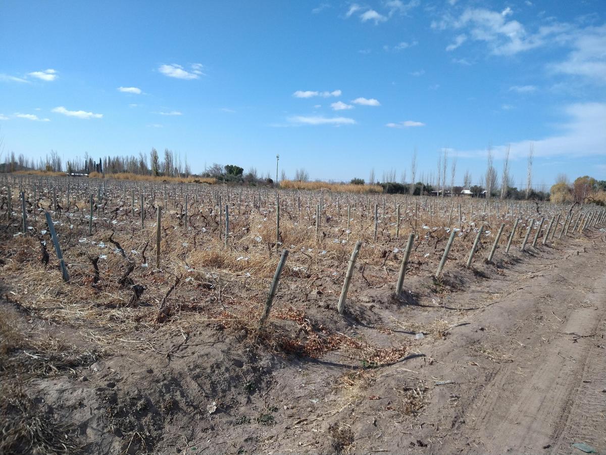 Contacto Propiedades Inmobiliaria Vende Finca de 12 Ha en Palmira 1