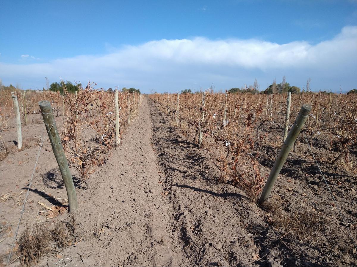 Propiedad en Argentina