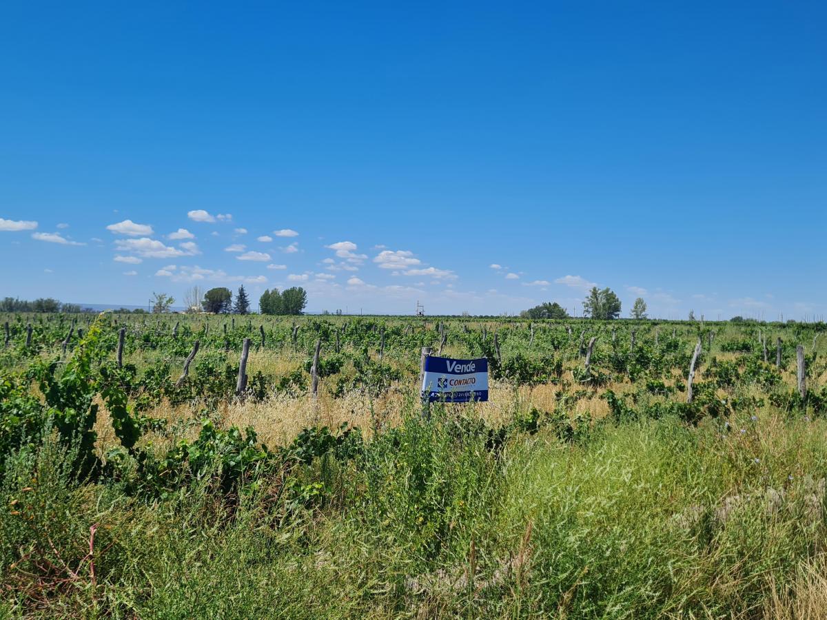 Venta de Finca en Altamira, San Carlos 5