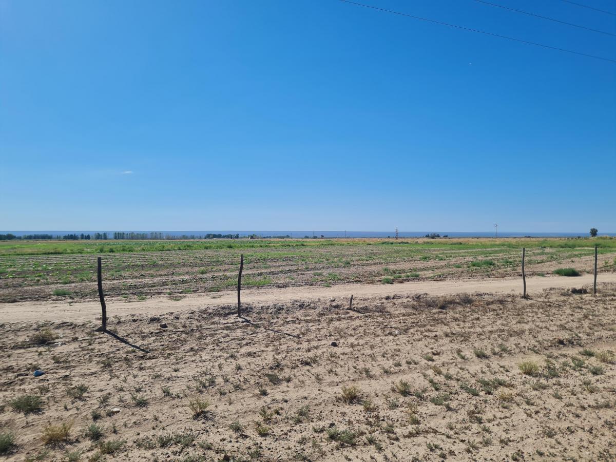 Contacto Propiedades Inmobiliaria Vende Finca en El Carrizal, 2