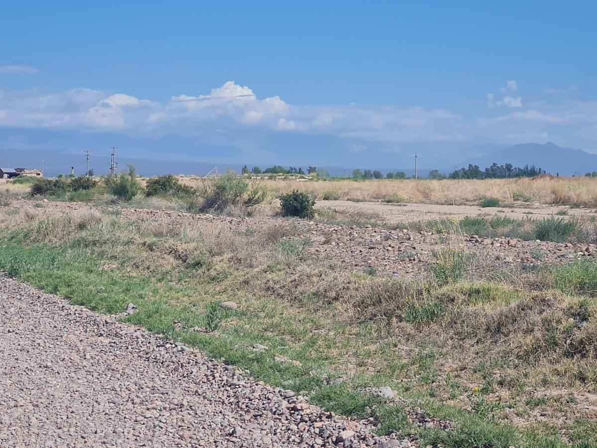 Contacto Propiedades Inmobiliaria Vende Finca en El Carrizal, 3