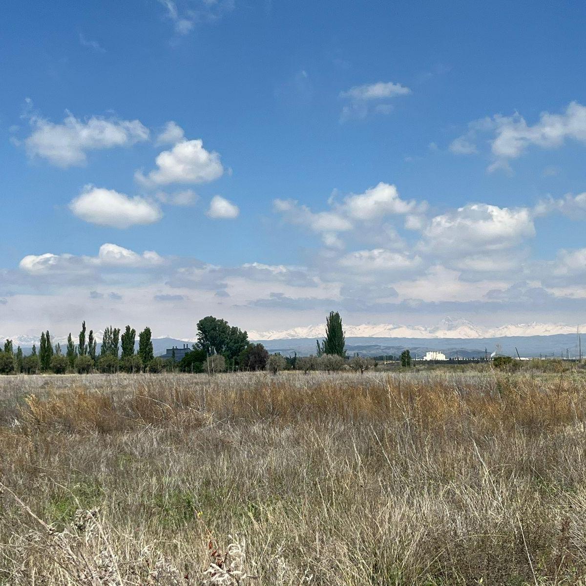 Venta de Finca 8has en Las Compuertas, Lujan de Cuyo 3