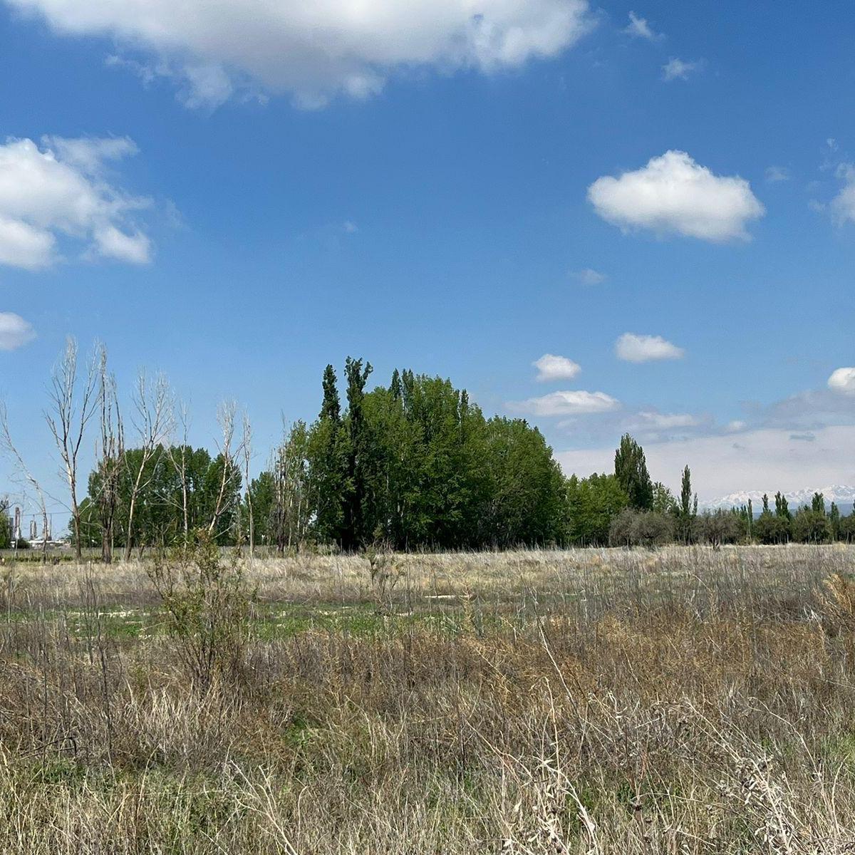Venta de Finca 8has en Las Compuertas, Lujan de Cuyo 1