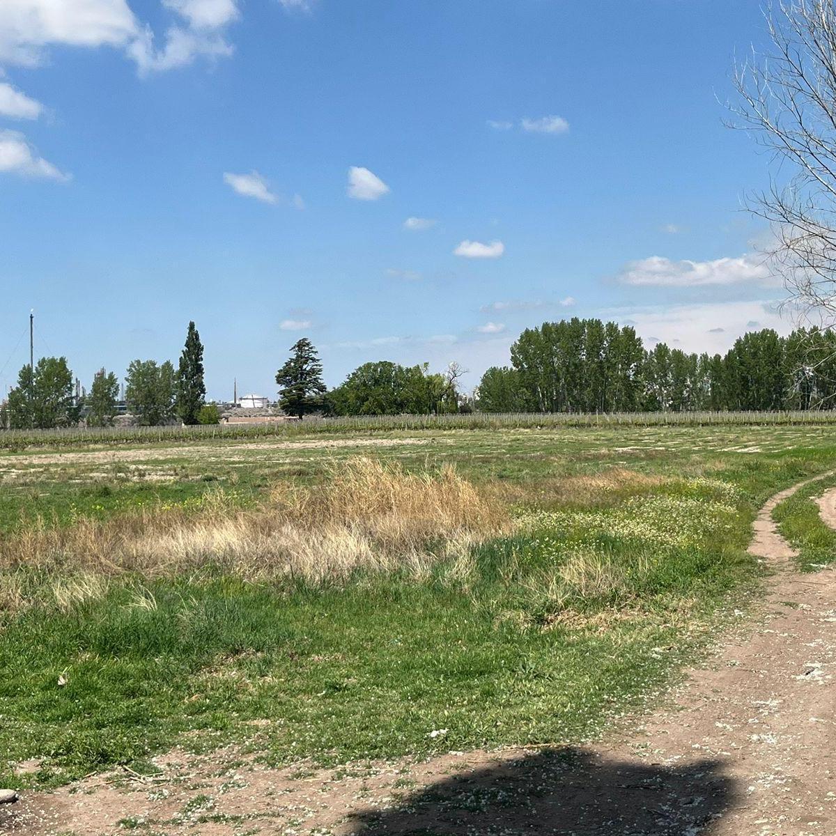 Venta de Finca 8has en Las Compuertas, Lujan de Cuyo 5
