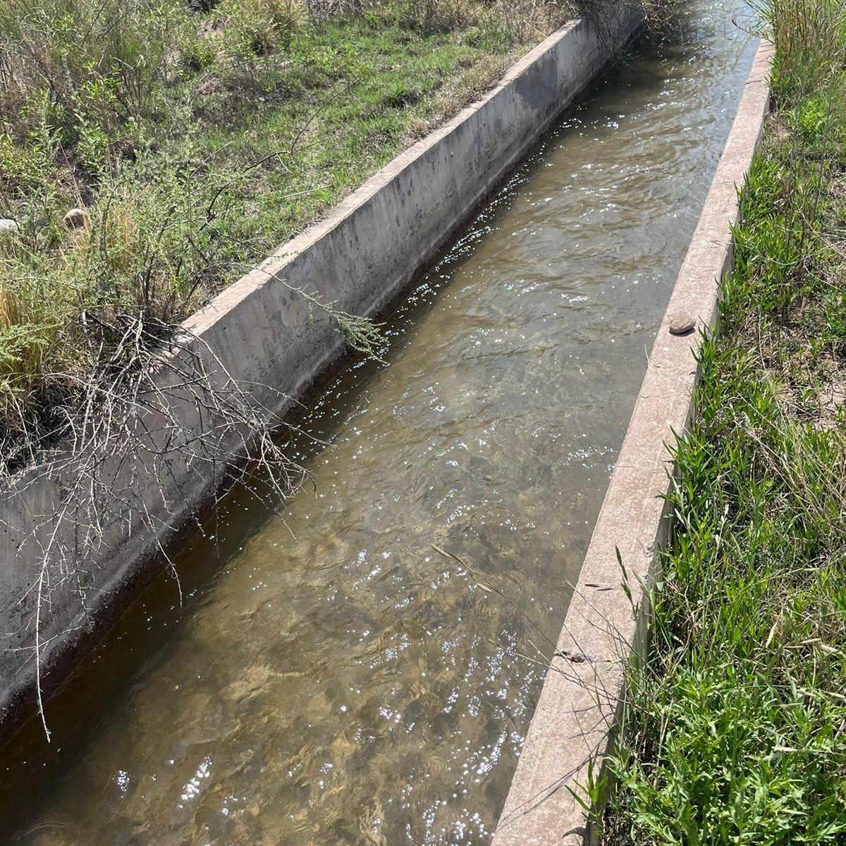 Venta de Finca 8has en Las Compuertas, Lujan de Cuyo 4