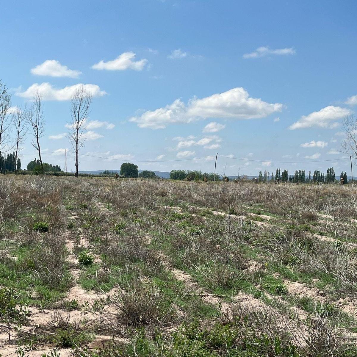 Venta de Finca 8has en Las Compuertas, Lujan de Cuyo 5