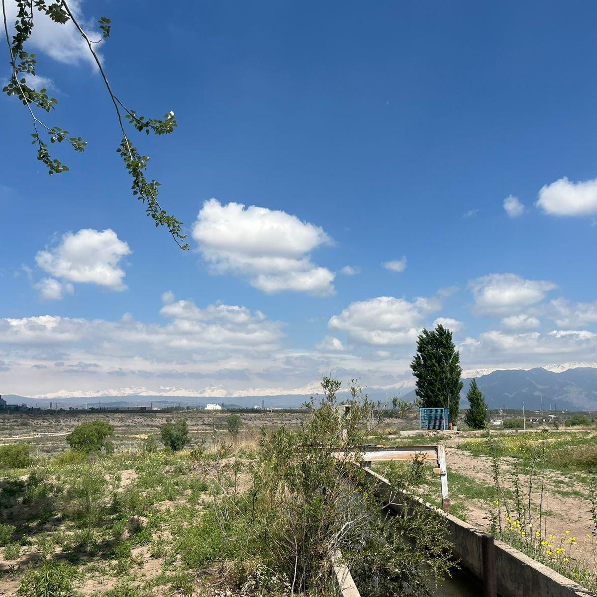 Venta de Finca 8has en Las Compuertas, Lujan de Cuyo 4