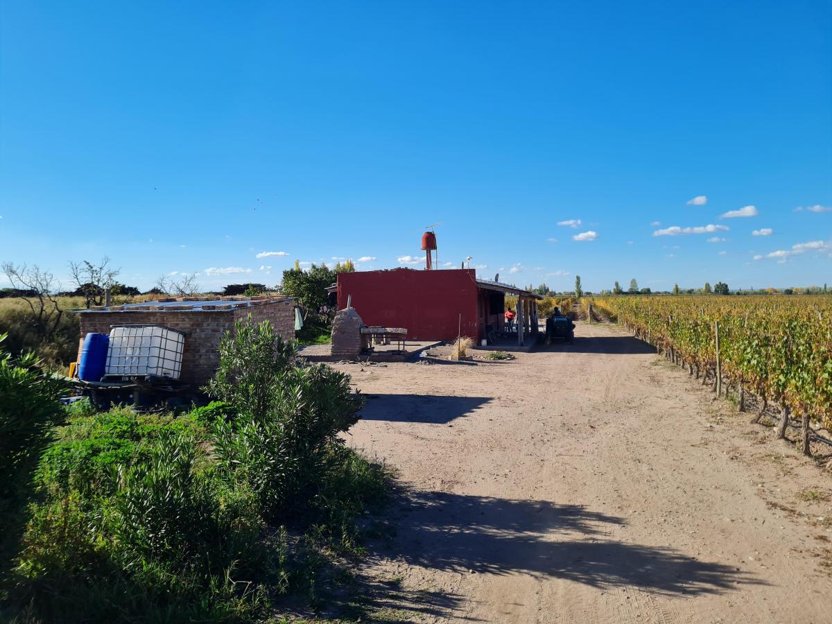 Contacto Propiedades Inmobiliaria Vende Finca en Altamira, San Carlos. 5
