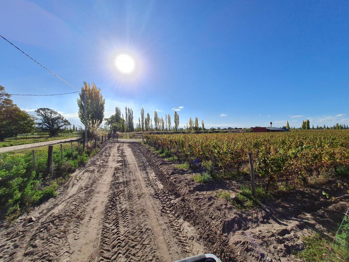 Contacto Propiedades Inmobiliaria Vende Finca en Altamira, San Carlos. 1