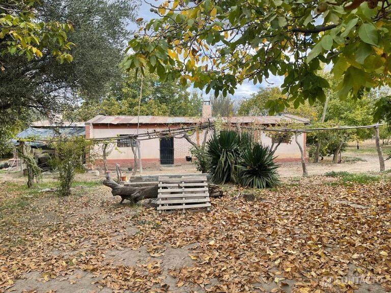 Contacto Propiedades Inmobiliaria Vende Finca 4