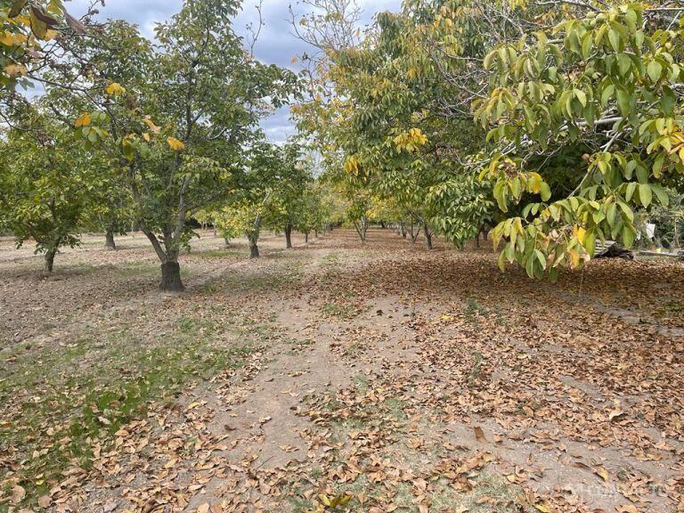 Contacto Propiedades Inmobiliaria Vende Finca 3