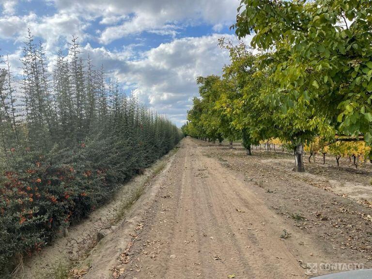 Contacto Propiedades Inmobiliaria Vende Finca 2