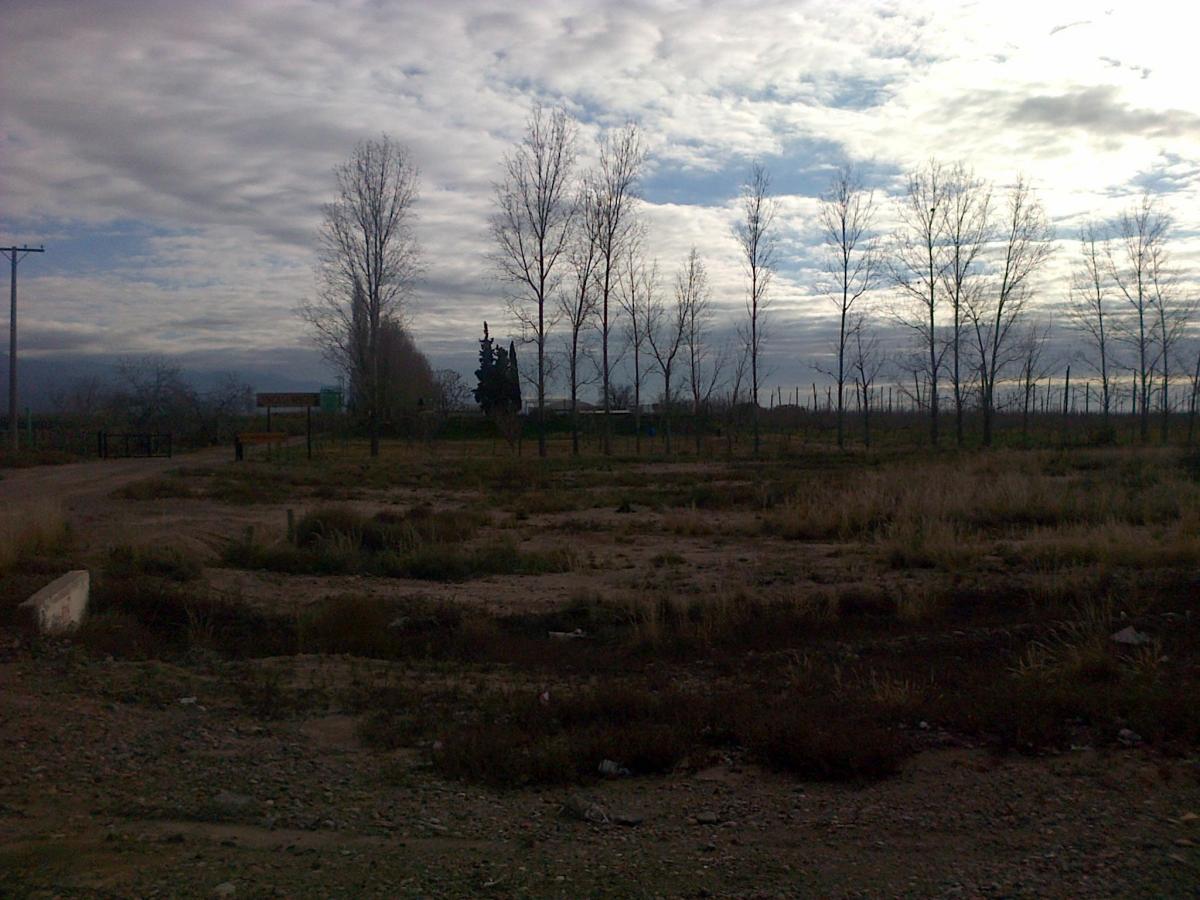 Venta de 50 Has en Agrelo Lujan de Cuyo Mendoza 1