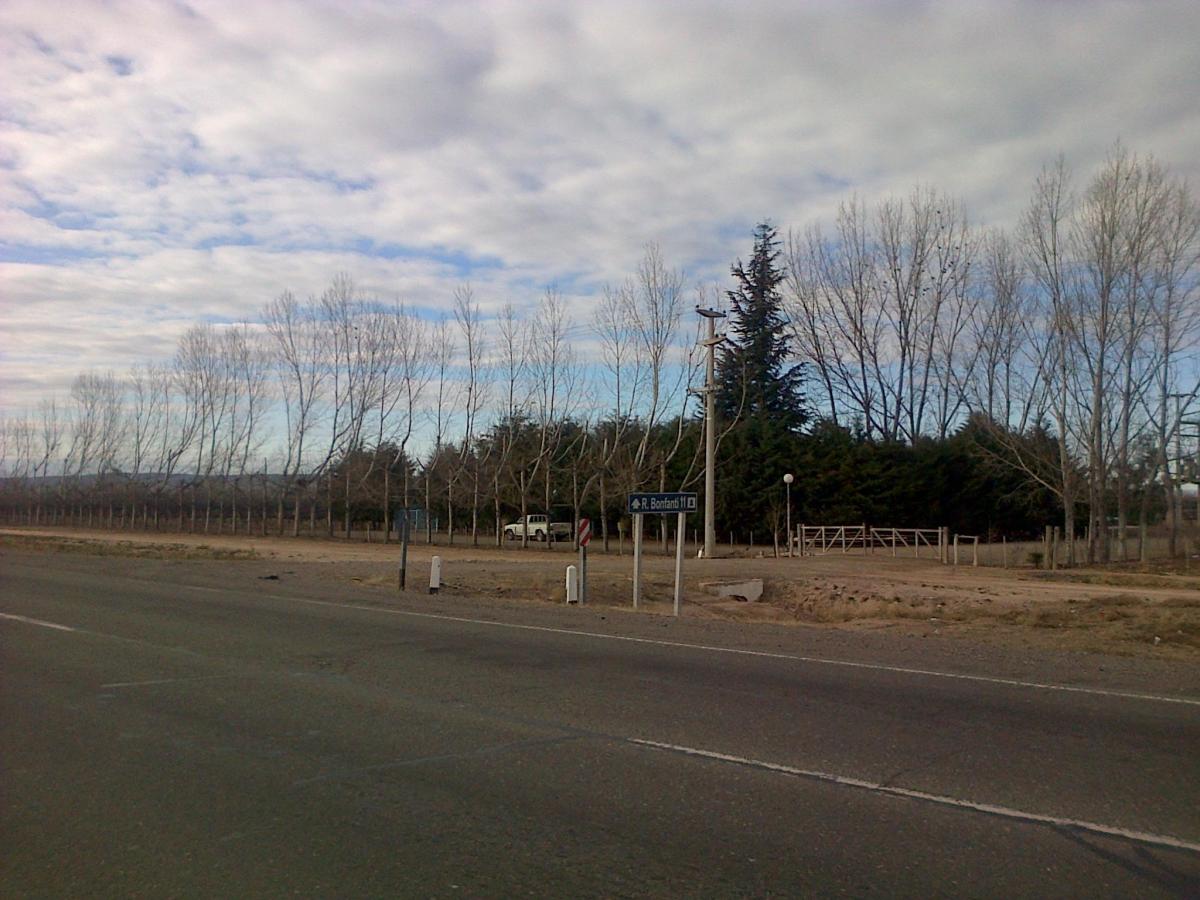 Venta de 50 Has en Agrelo Lujan de Cuyo Mendoza 4
