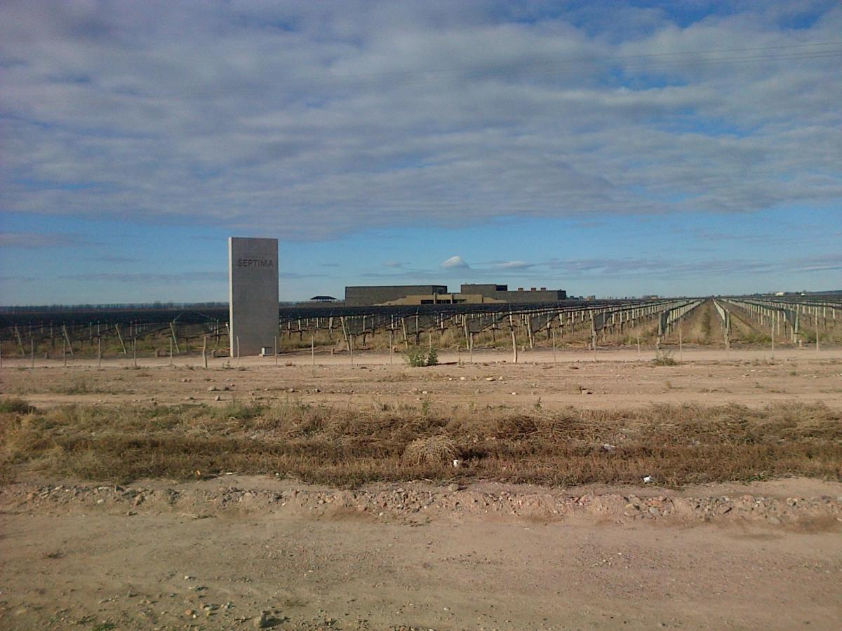Venta de 50 Has en Agrelo Lujan de Cuyo Mendoza 5