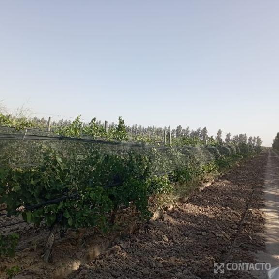 CONTACTO PROPIEDADES INMOBILIARIA VENDE FINCA EN LAVALLE