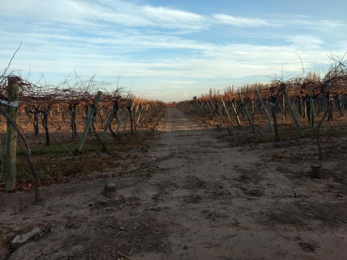 Contacto Propiedades Inmobiliaria Vende Finca 3