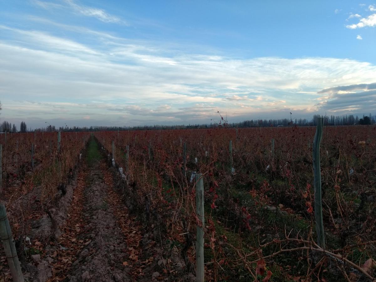 Contacto Propiedades Inmobiliaria Vende Finca 1