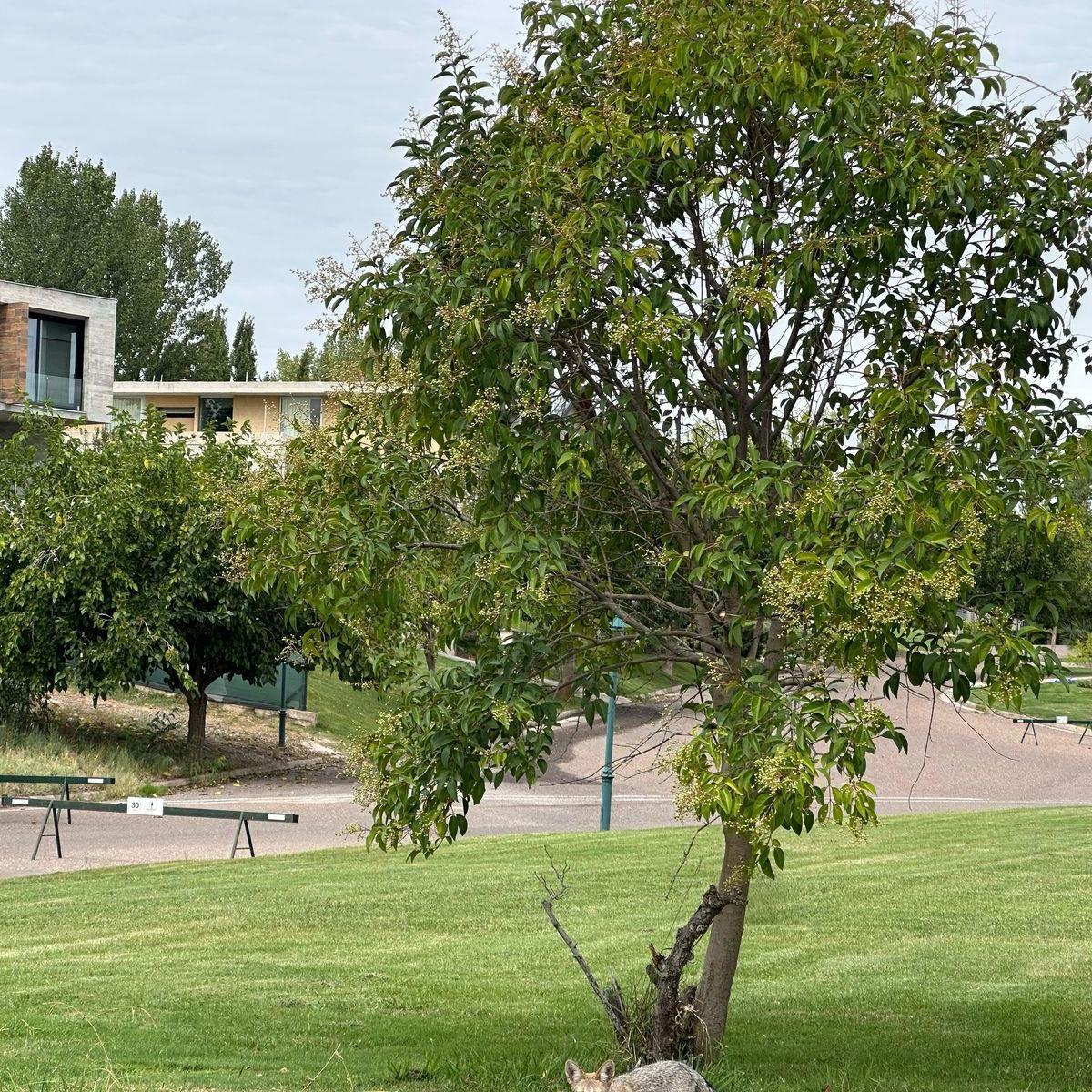 CONTACTO PROPIEDADES INMOBILIARIA VENDE LOTE