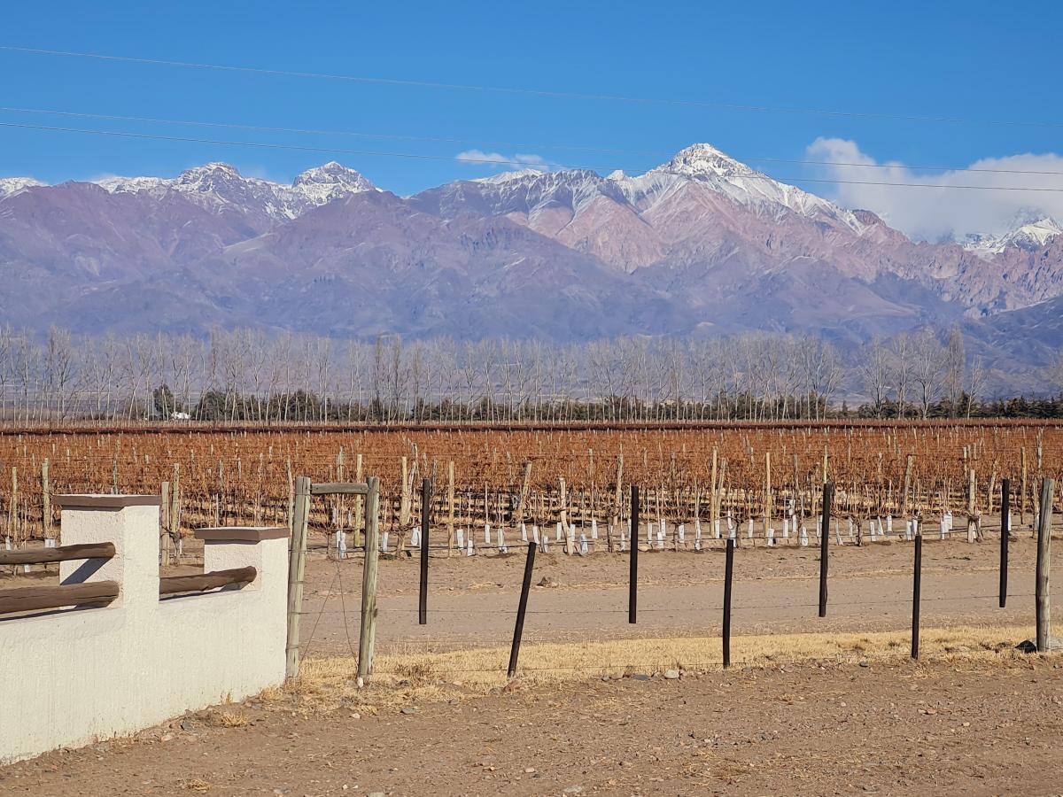 Venta de Finca con Alojamiento Turistico en Tunuyan, Mendoza. 4