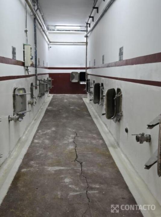 Venta de Bodega en Alto Verde, Departamento de San Martín 5