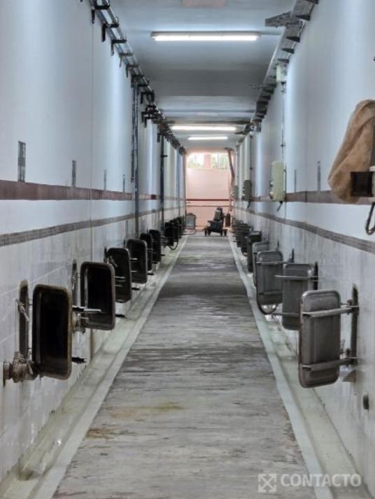Venta de Bodega en Alto Verde, Departamento de San Martín 4
