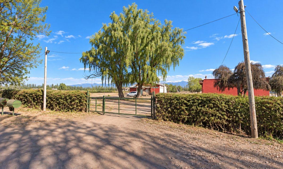 Foto de TERRENO DE 4.8 Ha EN VENTA SOBRE CALLE TABANERA - COLONIA LAS ROSAS, imagen 5