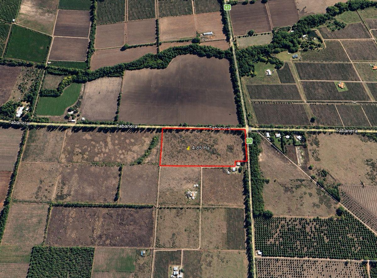 Foto de TERRENO DE 4.8 Ha EN VENTA SOBRE CALLE TABANERA - COLONIA LAS ROSAS, imagen 3