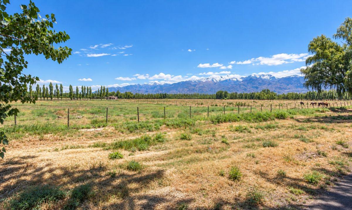 Foto de TERRENO DE 4.8 Ha EN VENTA SOBRE CALLE TABANERA - COLONIA LAS ROSAS, imagen 4