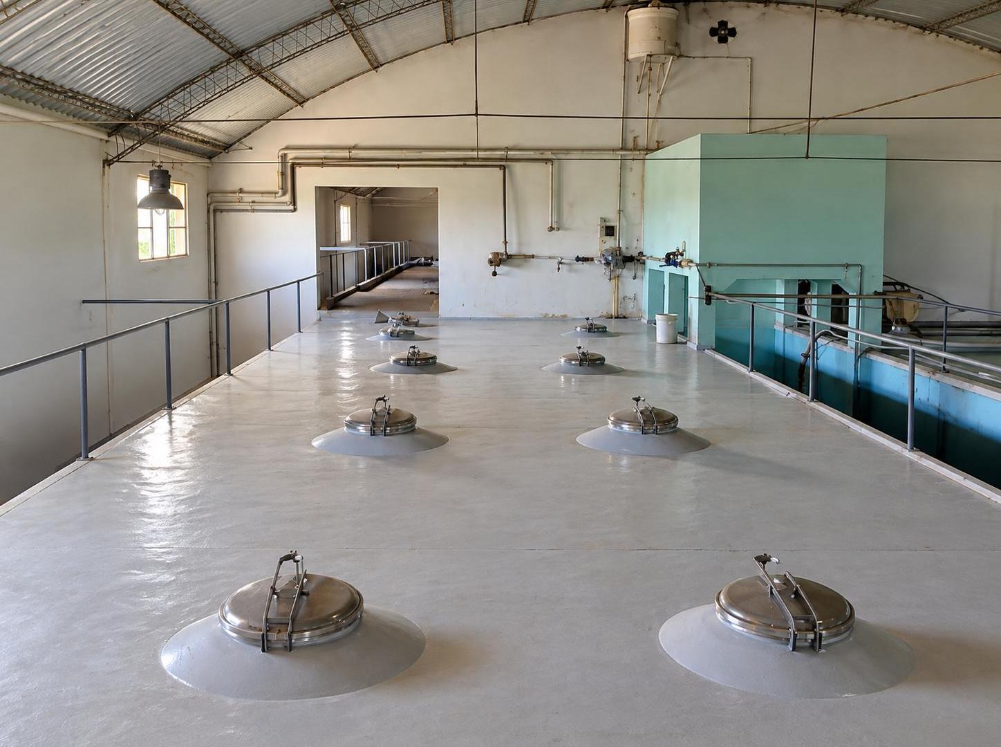 Foto de EN VENTA BODEGA OPERATIVA EN FRAY LUIS BELTRAN- MAIPÚ, imagen 2