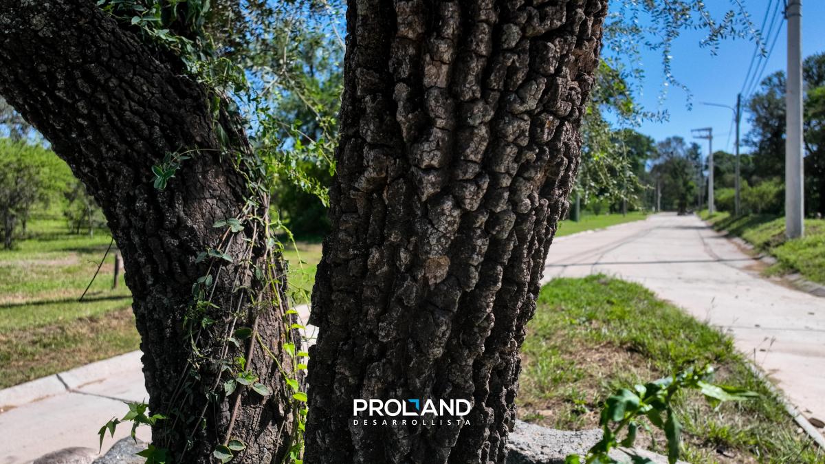 Terreno en Venta Unquillo - La Adela - Lote Córdoba - Barrio con Seguridad 2