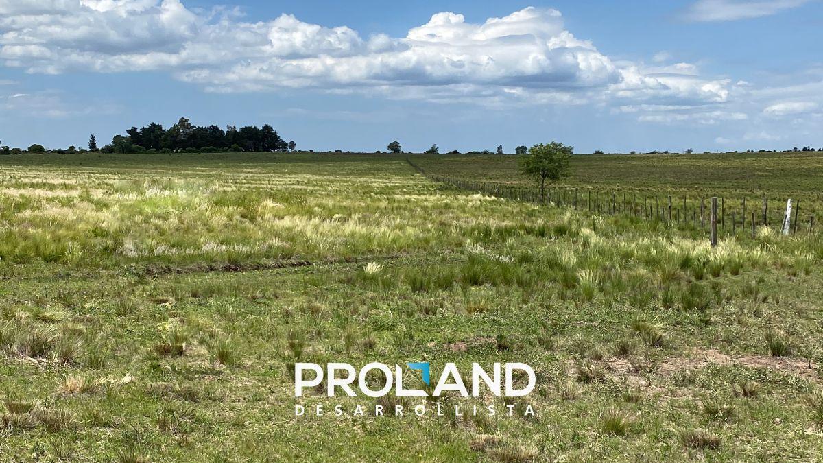Foto de Venta de Los Primeros 20 Lotes en Nuur, La Cumbre - Desde 850 m² - 100%, imagen 4
