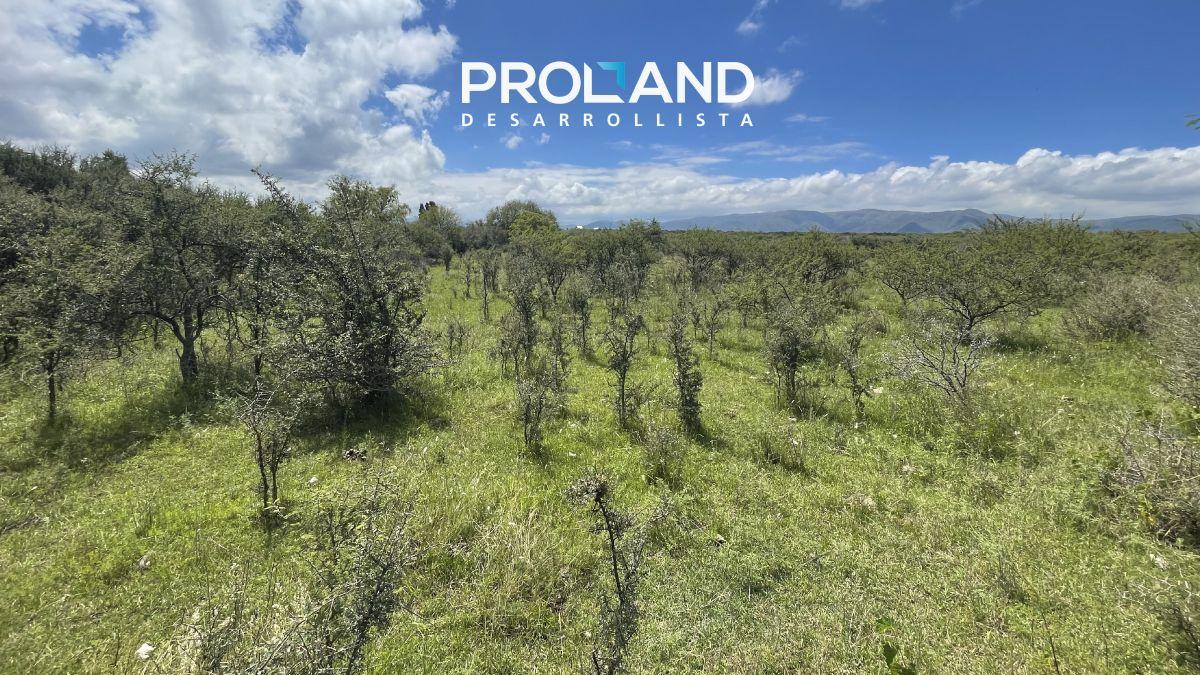 Foto de la propiedad en Club de Campo Los Tres Arroyos, Piedras Grandes, Huerta