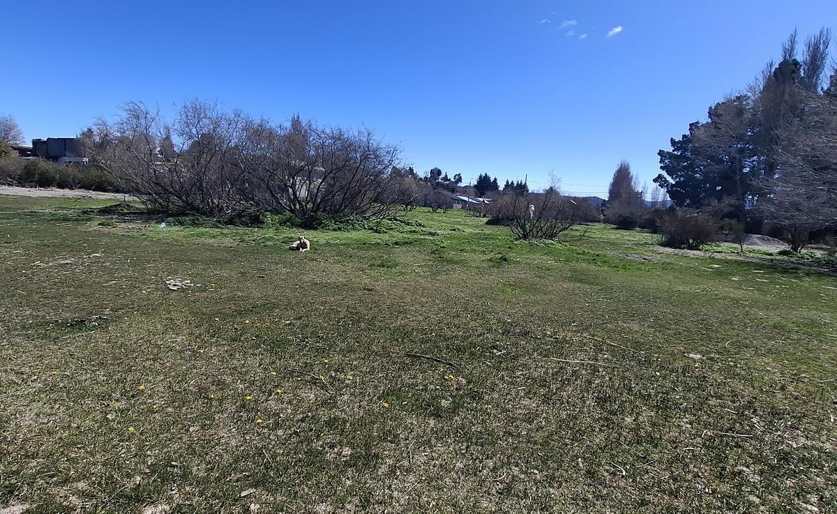 Terreno en Venta Dina Huapi N 08 Interno Posesión y Escritura Inmediata 3