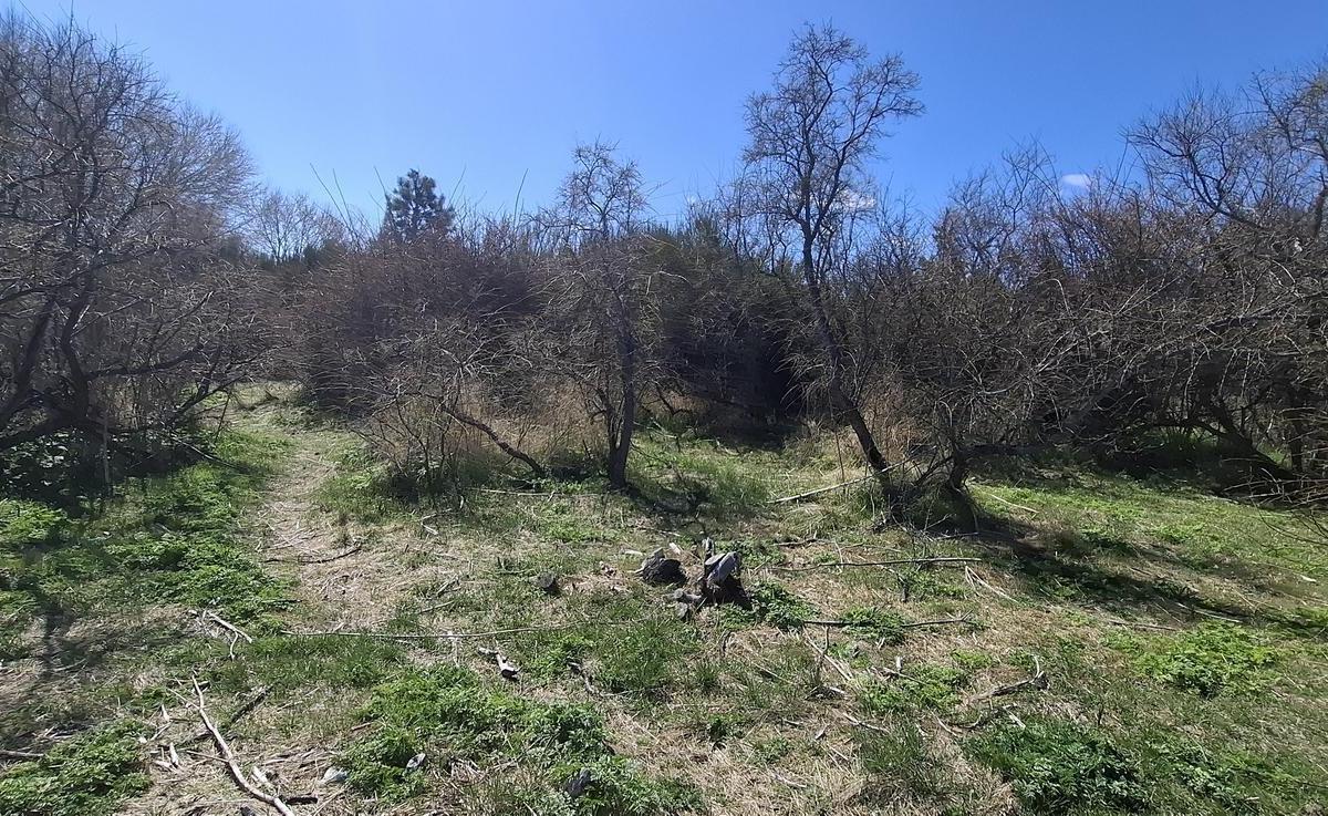 Terreno en Venta Dina Huapi N 08 Interno Posesión y Escritura Inmediata 5