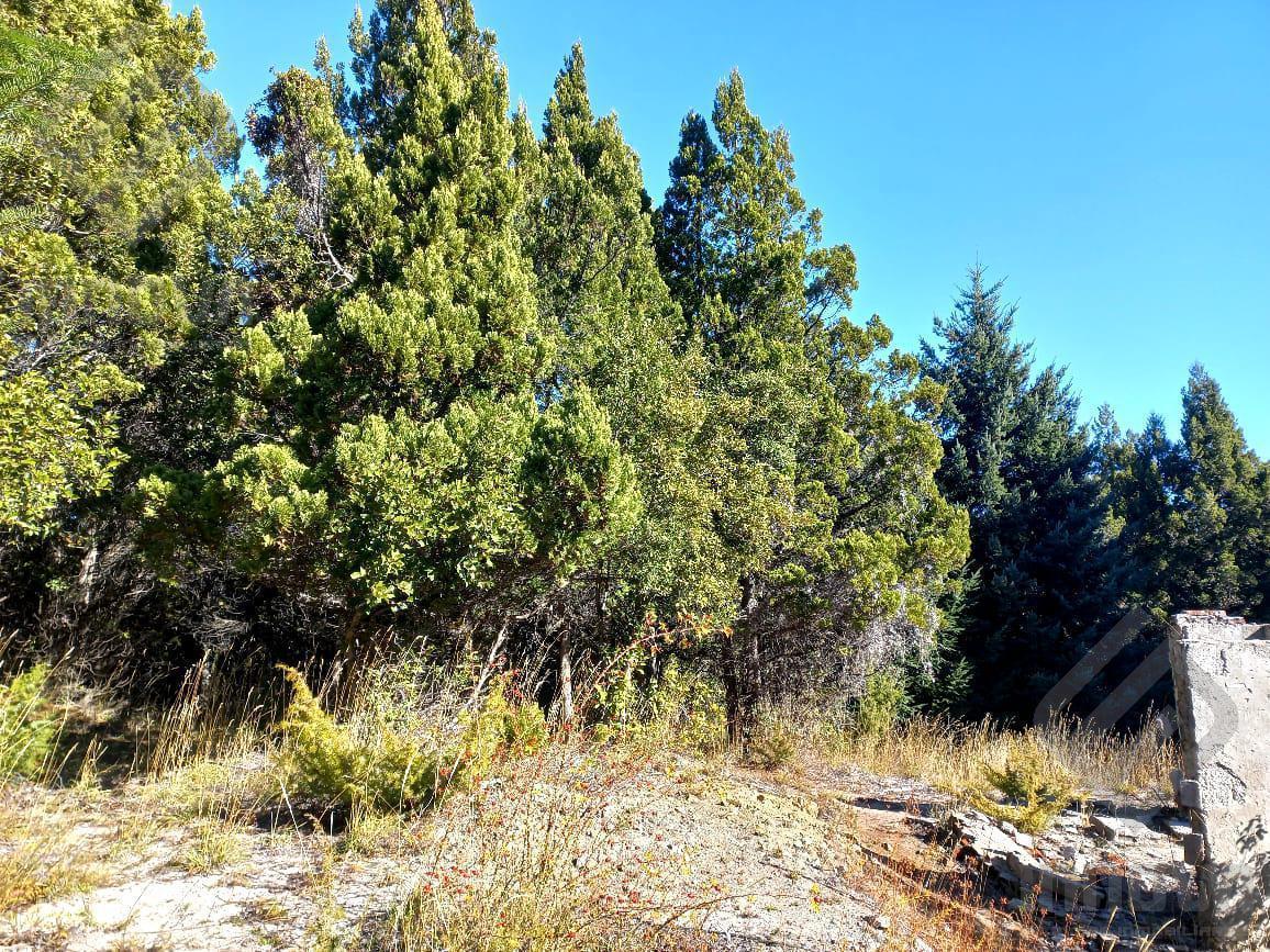 Terreno en Venta Bariloche 5