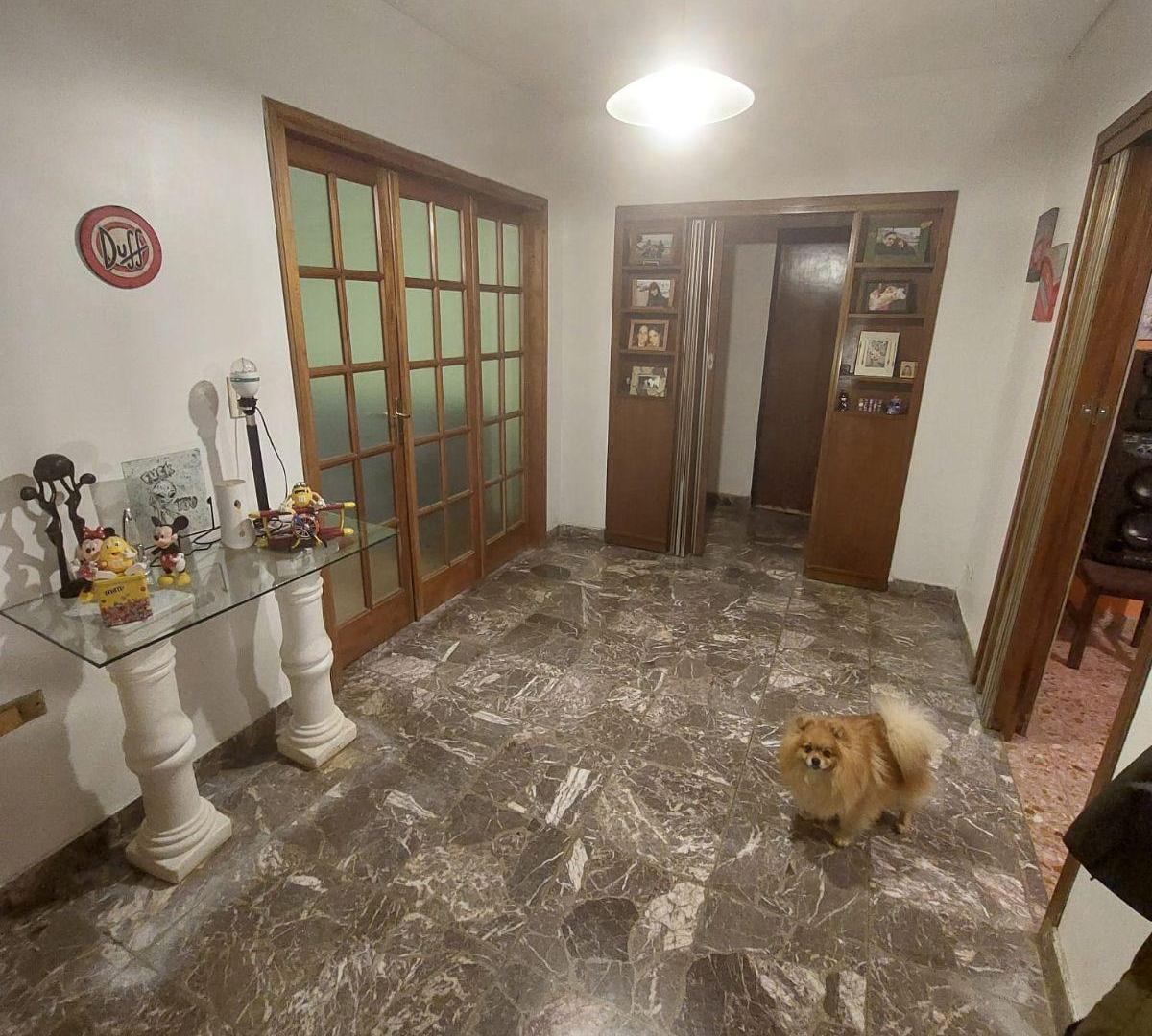Foto de VENTA! GALPON CON FONDO LIBRE DE 300MTS, CON VIVIENDA DE 4 AMBIENTES EN, imagen 4